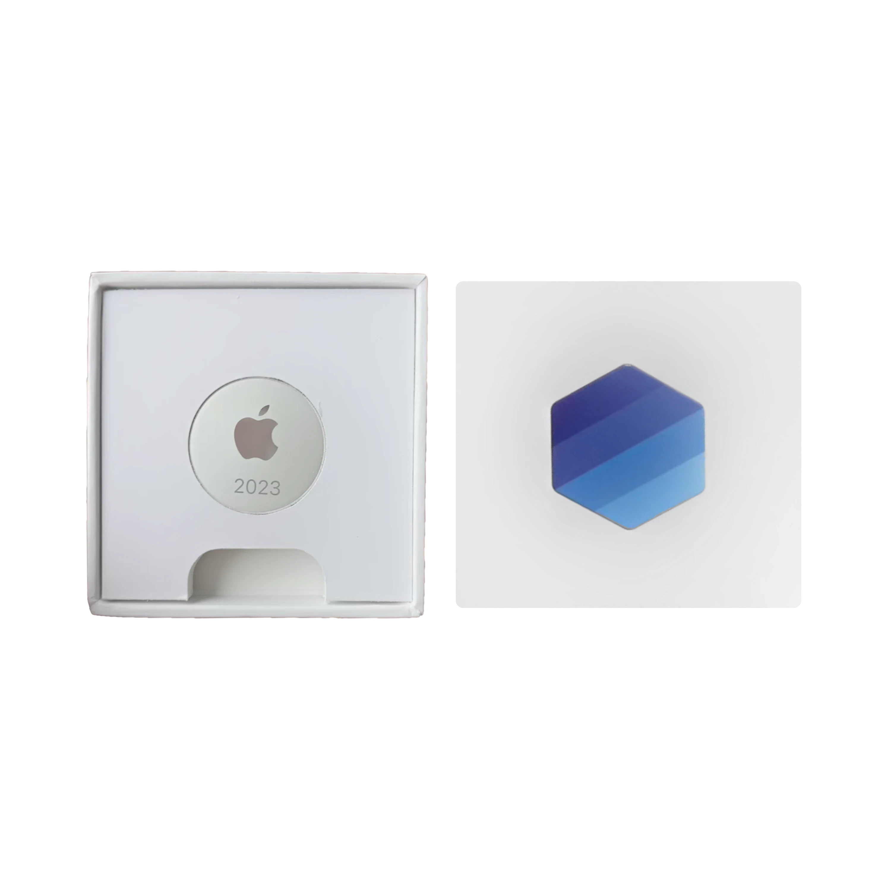 Apple Excellence Program Pin
