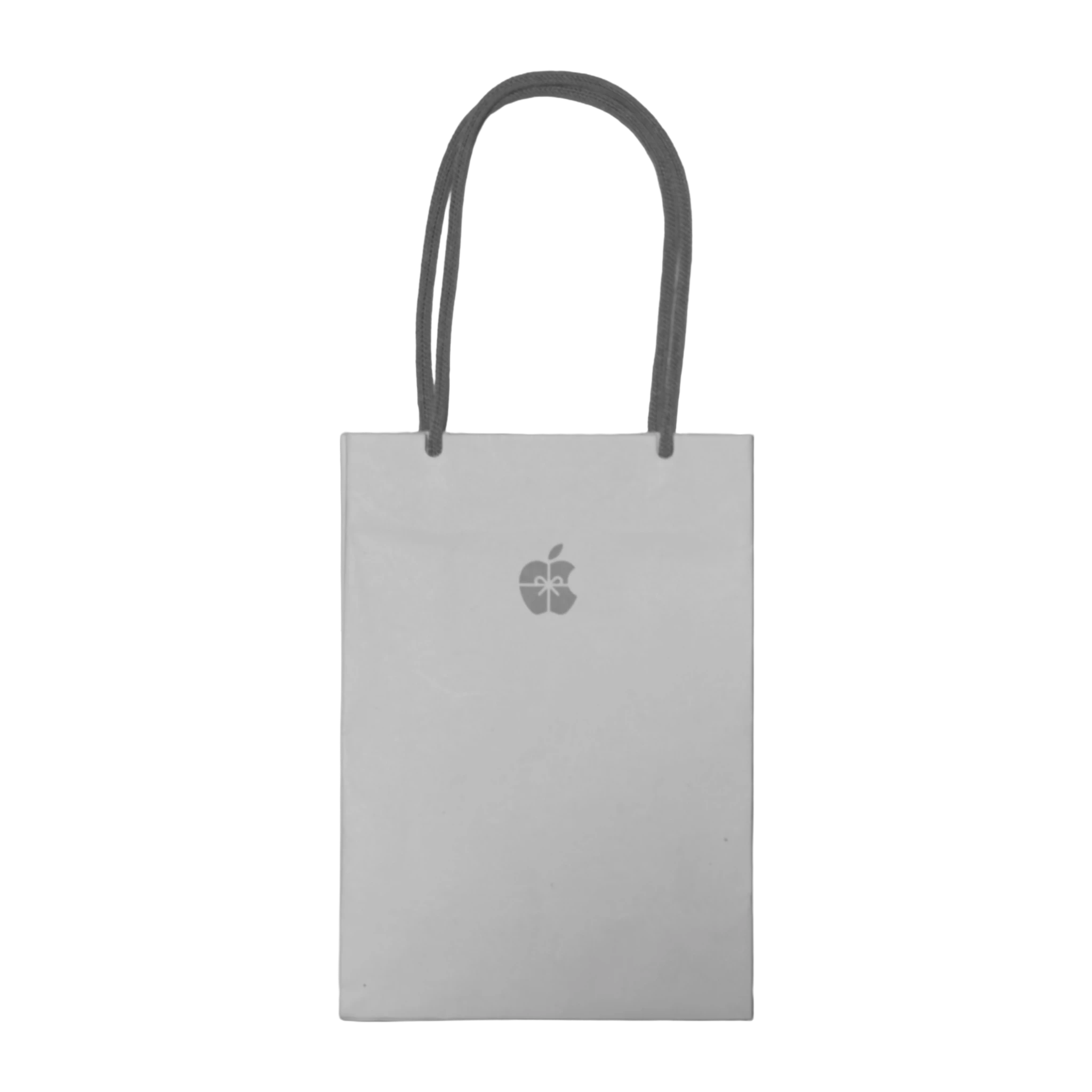 Apple Store Christmas Bag