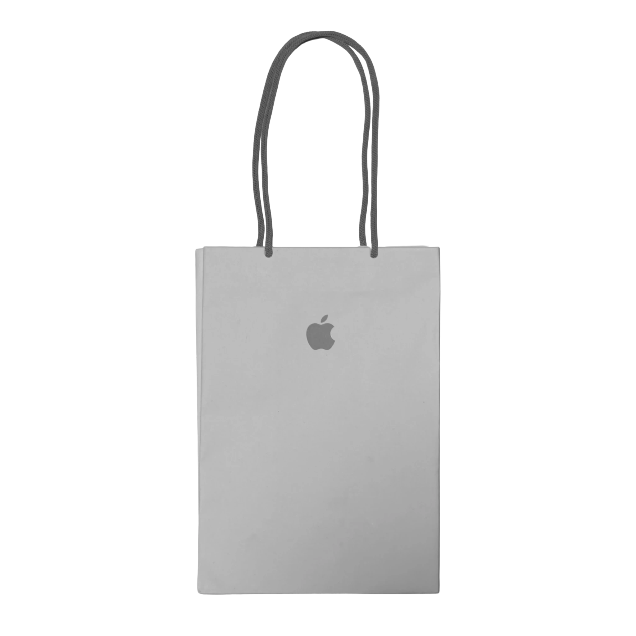 Apple Store Paper Bag